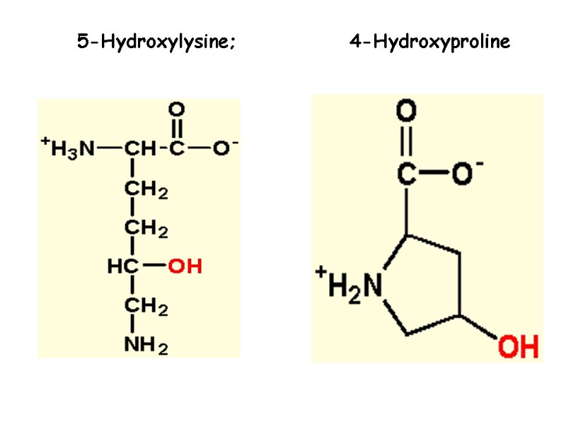 5-Hydroxylysine;             